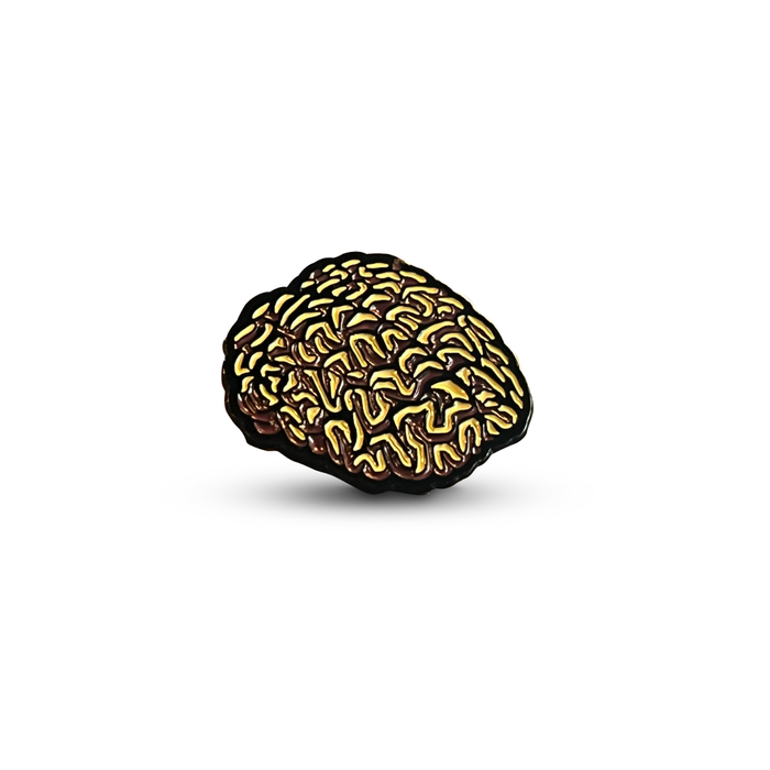 Boston Scally The Brain Cap Pin - featured image