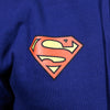 Boston Scally The Superman Icon Hoodie - Blue - alternate image 5