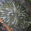 Mossy Oak 8 Panel Boston Scally Cap - Bottomland - alternate image 12