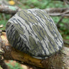 Mossy Oak Single Panel Boston Scally Cap - Bottomland - alternate image 12