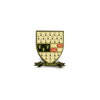 Boston Scally The Kilkenny Cap Pin - featured image